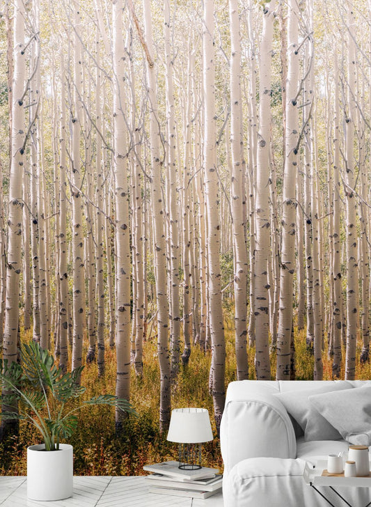  Forest Grey Tones