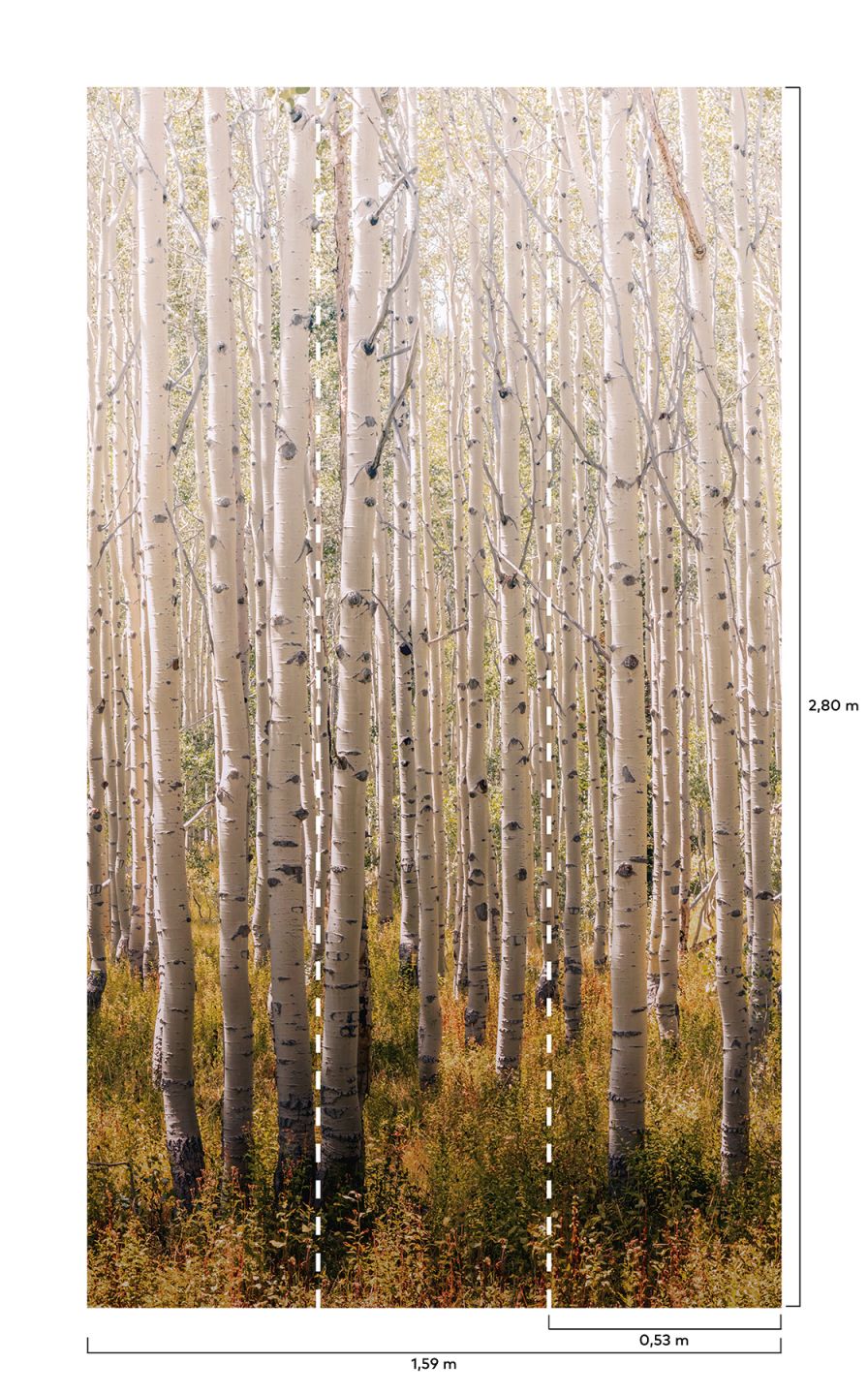  Forest Grey Tones