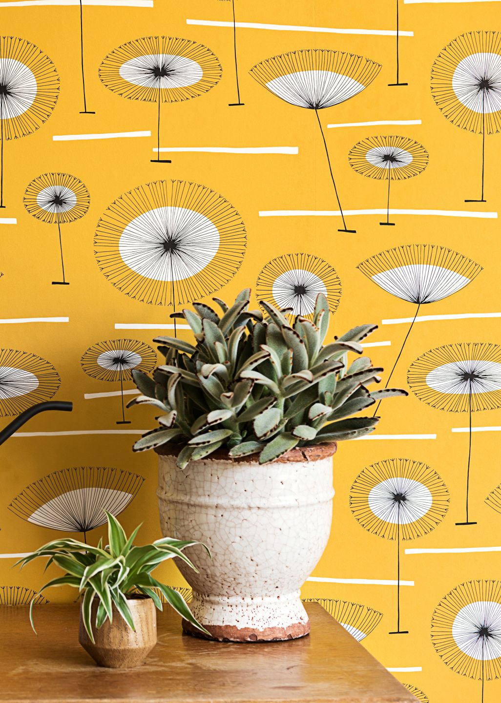  Grasslands Sun Yellow