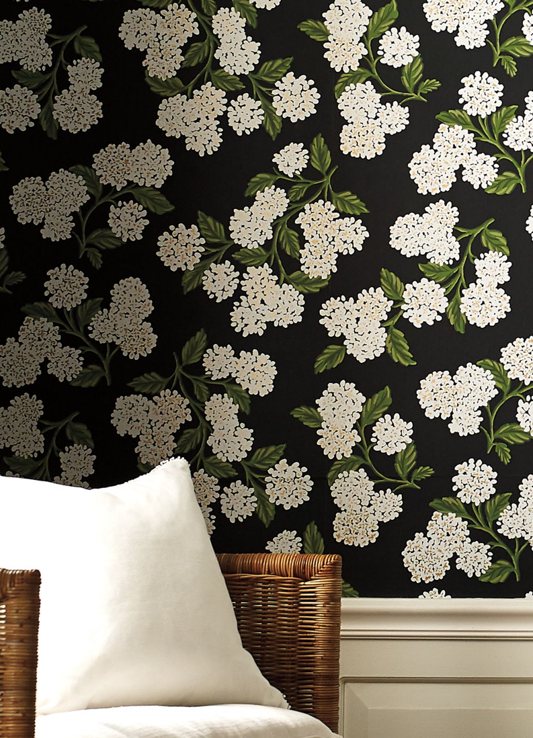  Hydrangea Black