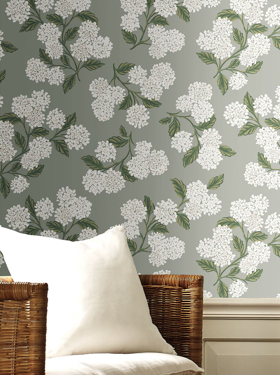  Hydrangea Grey