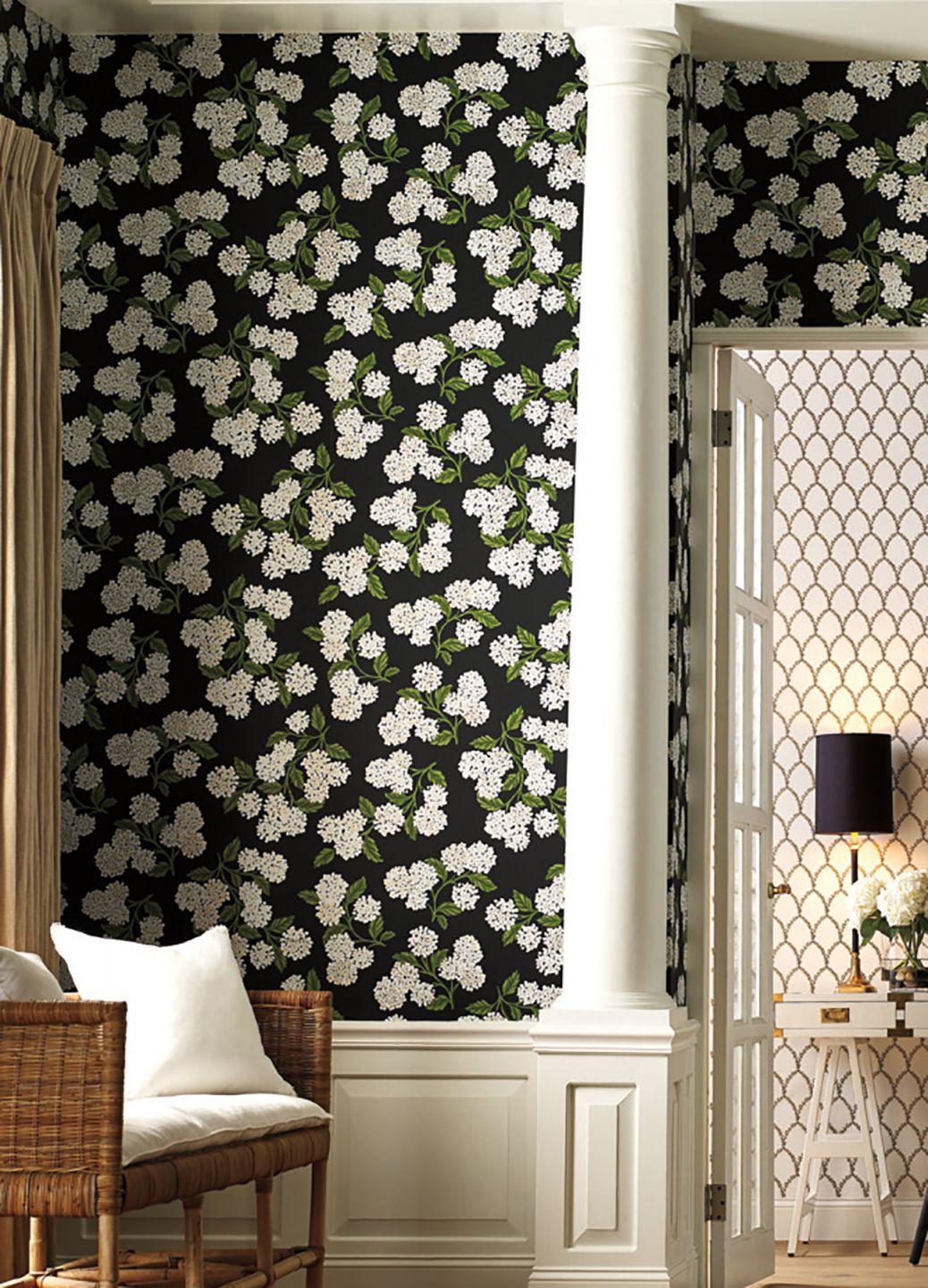  Hydrangea Black