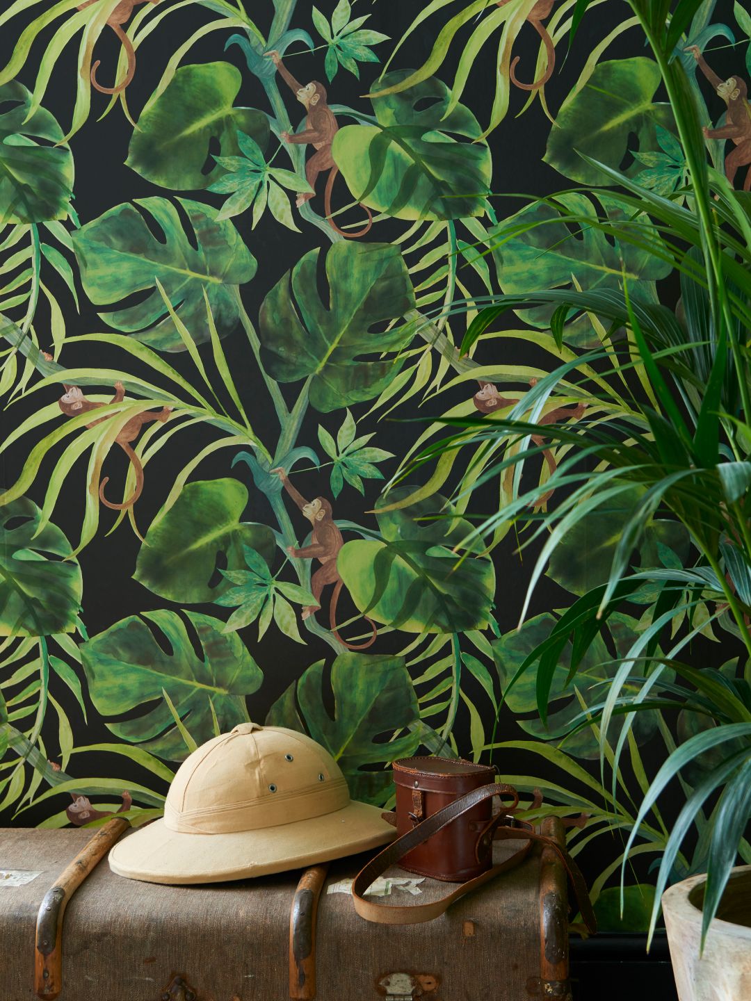  Jungle Jim Black