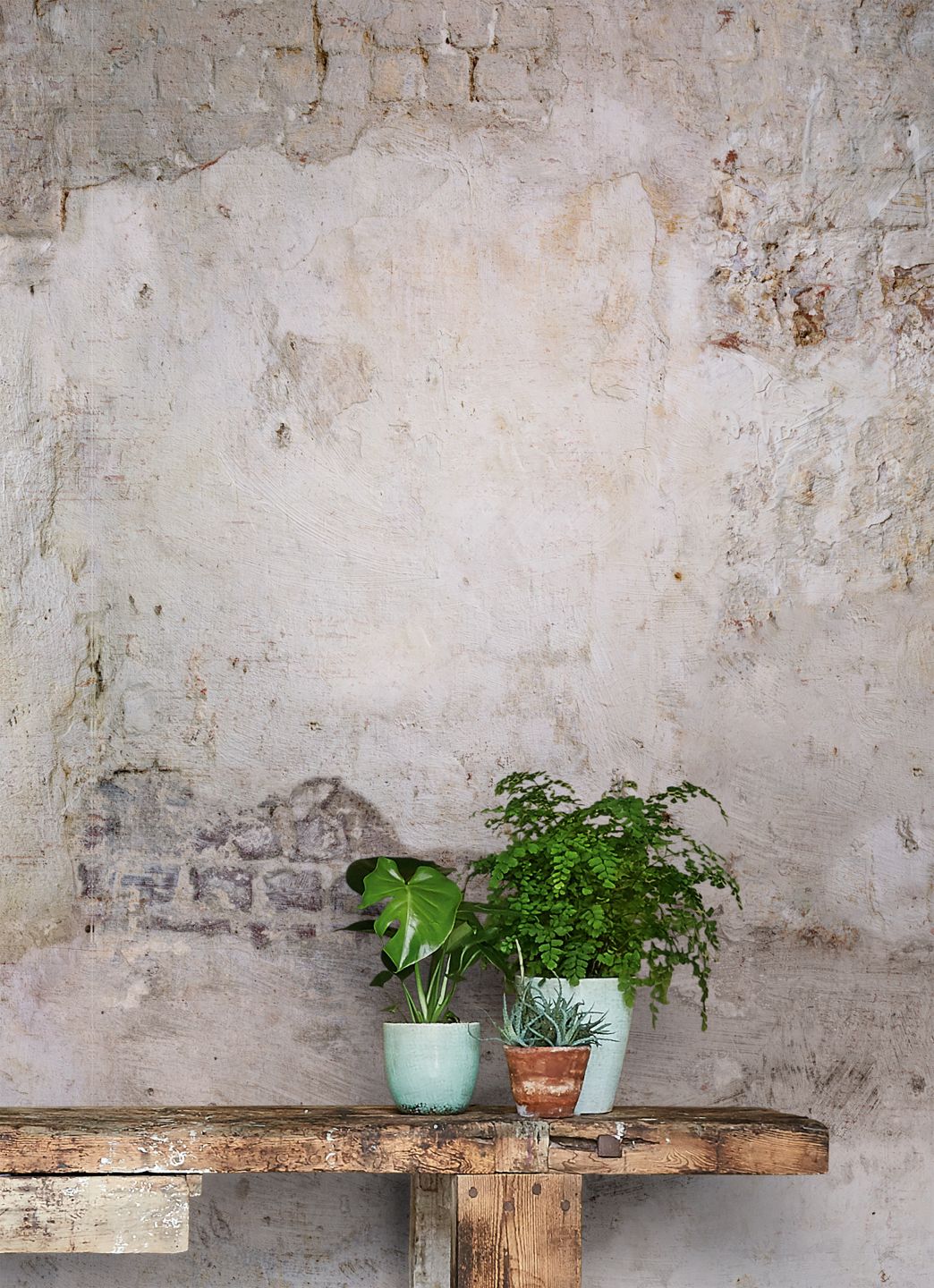  Shabby Wall Grey Tones