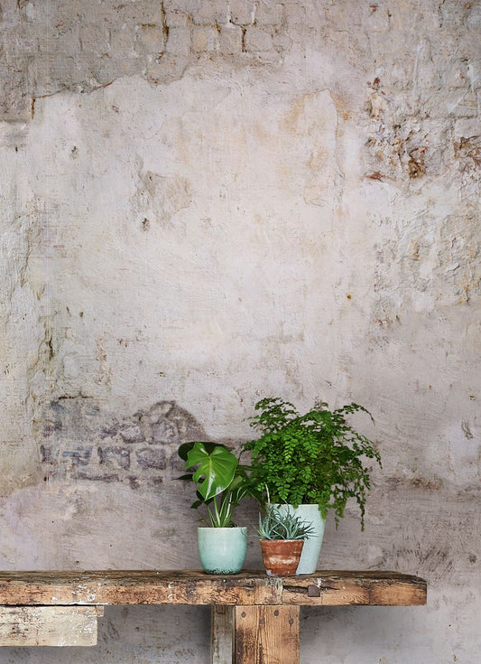  Shabby Wall Grey Tones