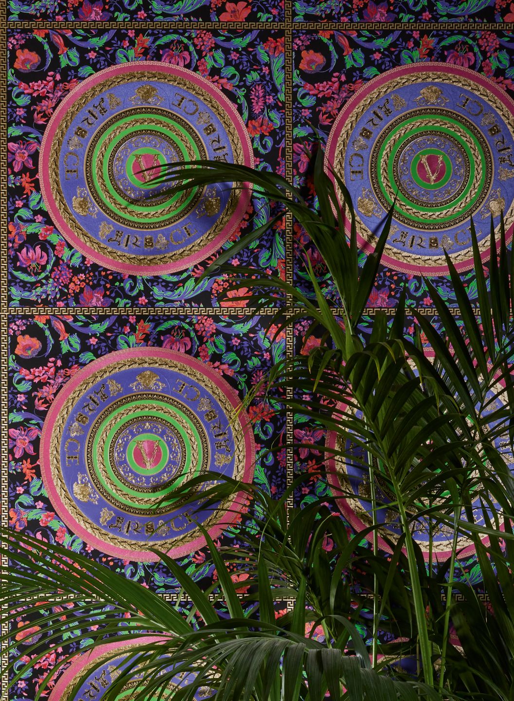 Versace Venus Multi-coloured