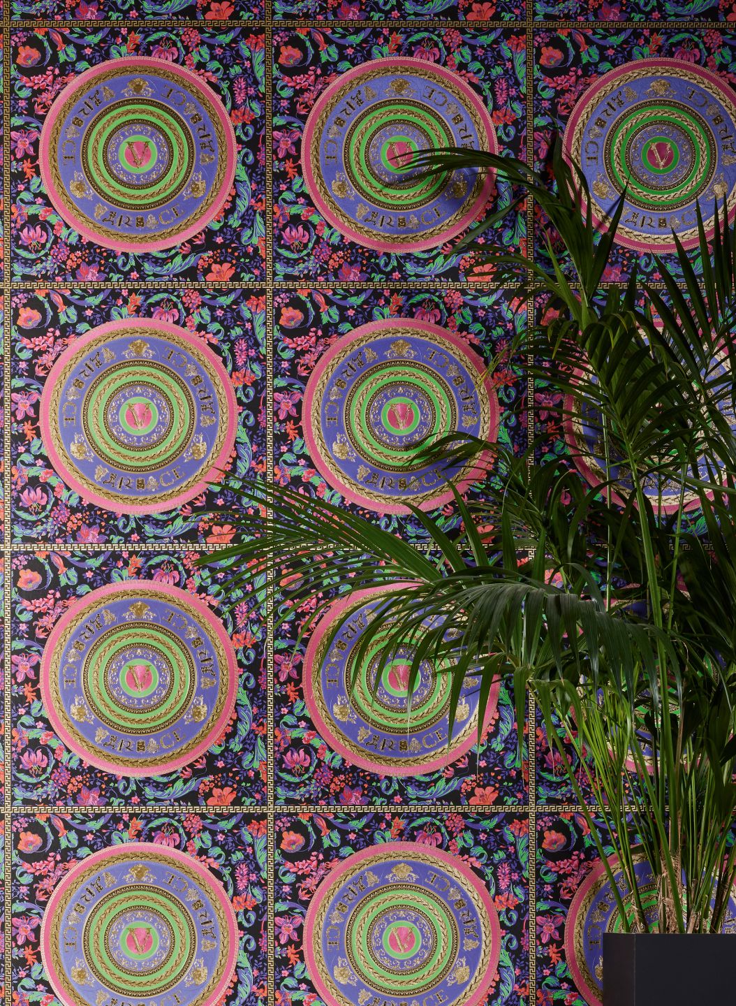 Versace Venus Multi-coloured